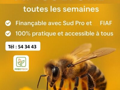 Maitrise apiculture
