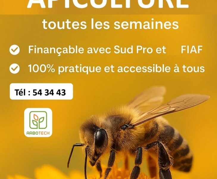 Maitrise apiculture