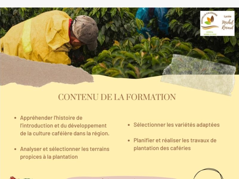 Installer une caférie