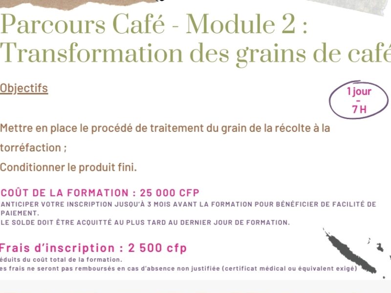Transformation des grains de café