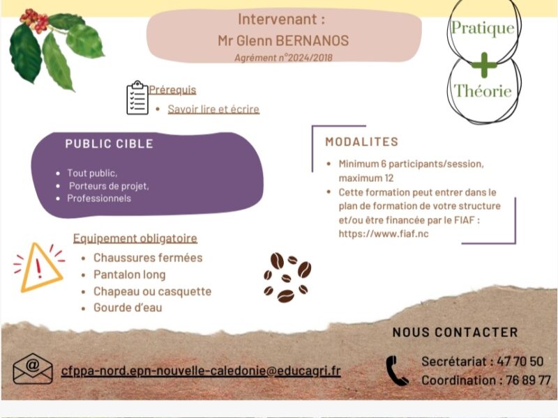 Transformation des grains de café