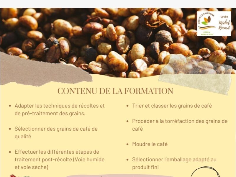 Transformation des grains de café