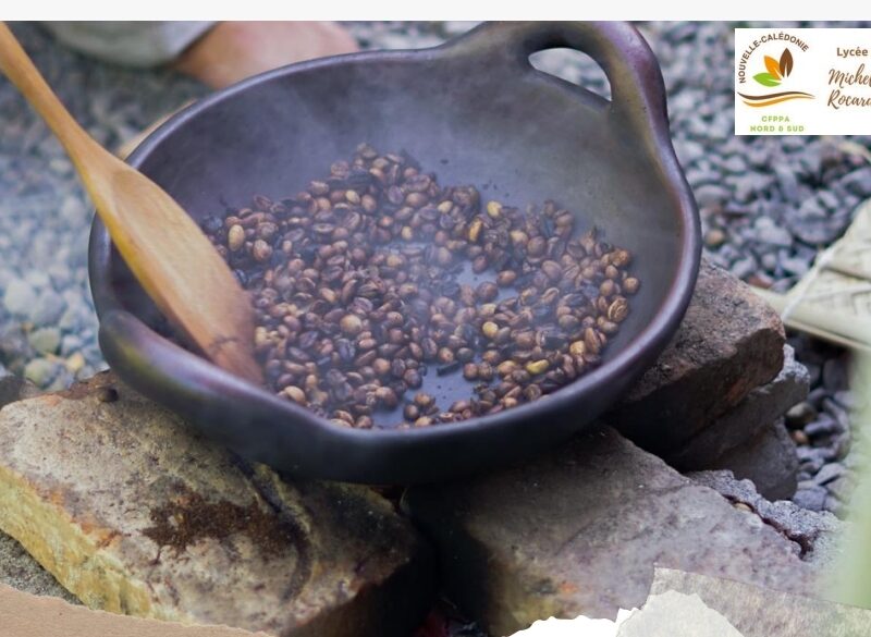 Transformation des grains de café