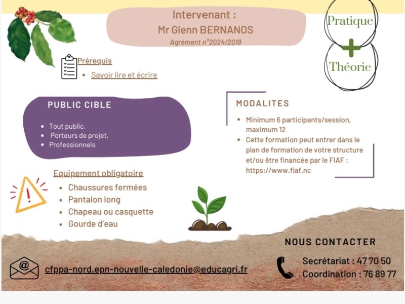 Multiplier les plants de café