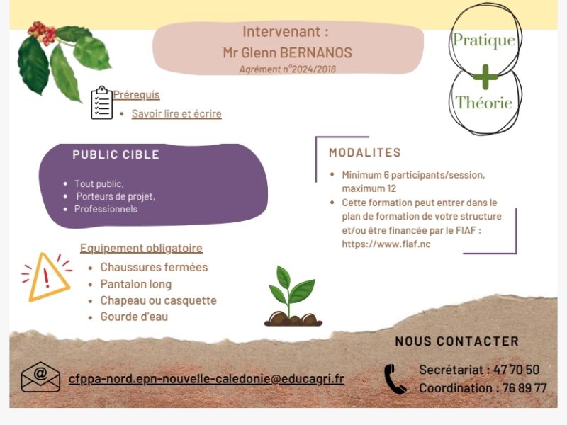 Entretenir les plants de café