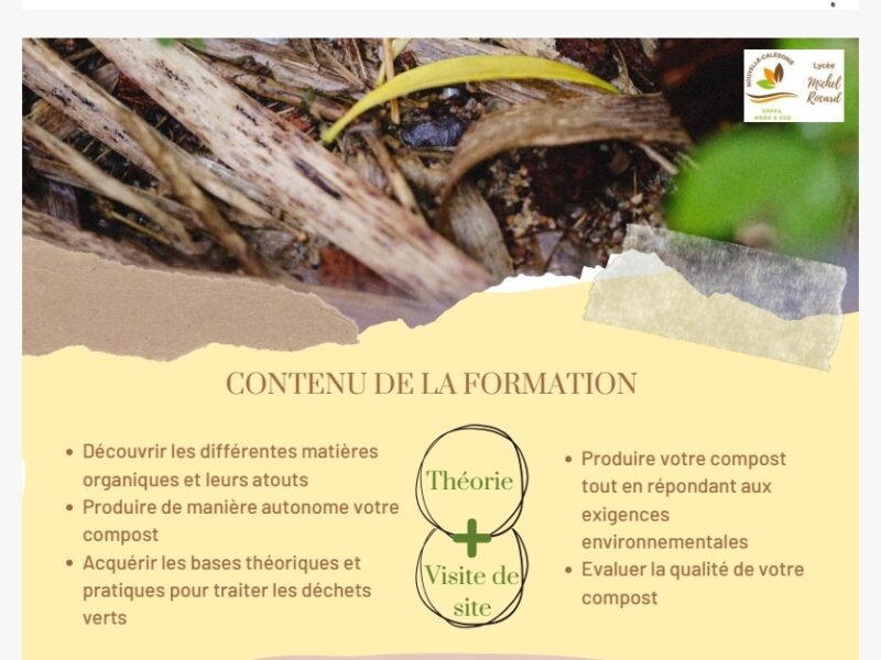 Produire son propre compost