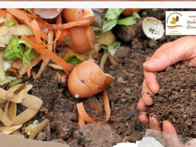 Produire son propre compost