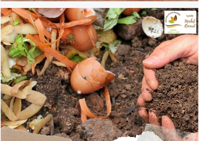 Produire son propre compost