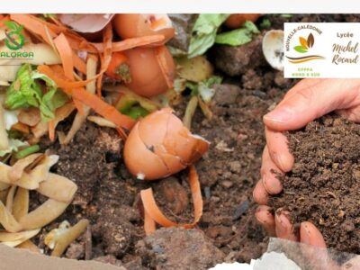 Produire un compost commercial