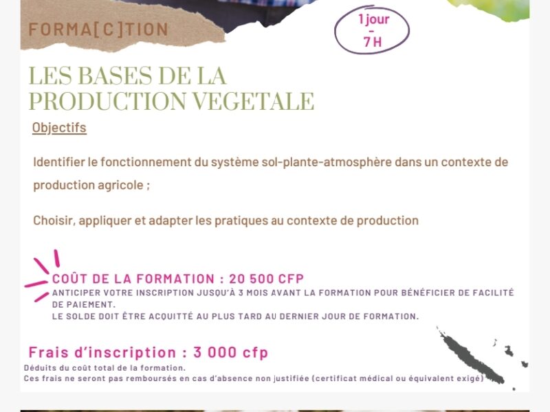 Les bases de la production végétale