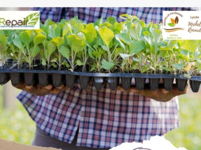 Les bases de la production végétale