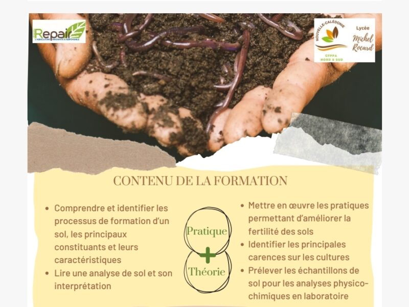 Des sols fertiles sans engrais de synthèse