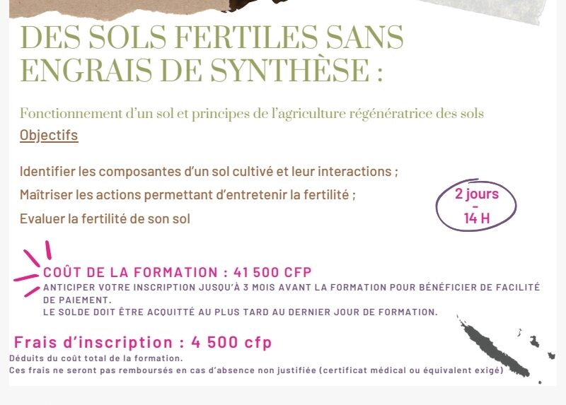 Des sols fertiles sans engrais de synthèse