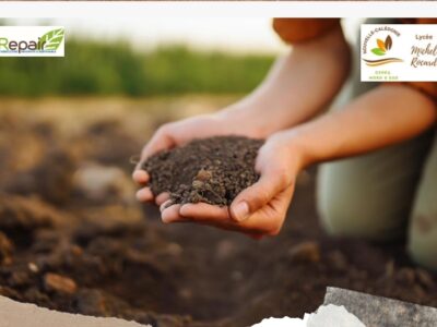 Des sols fertiles sans engrais de synthèse