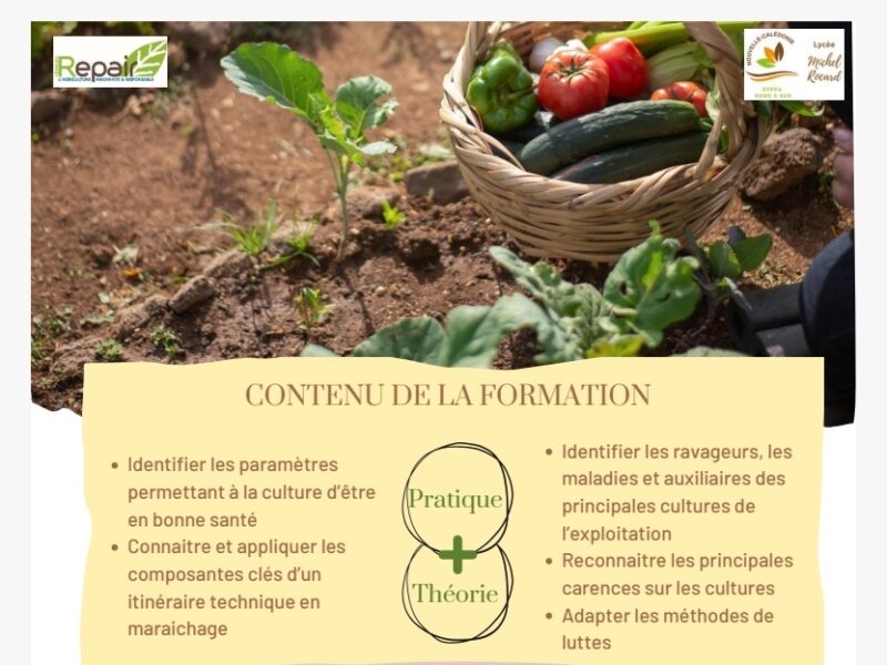 Protection agroécologique des cultures maraichères 1