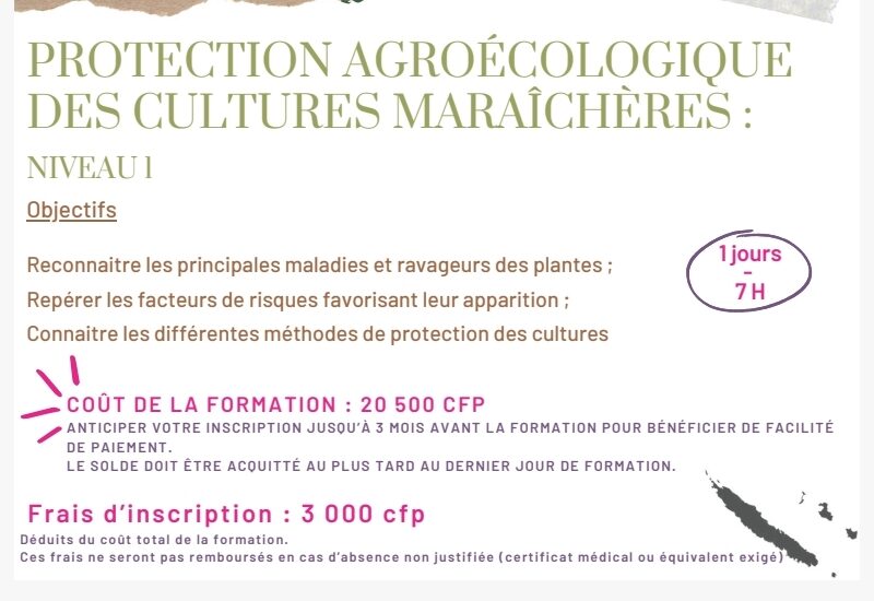 Protection agroécologique des cultures maraichères 1