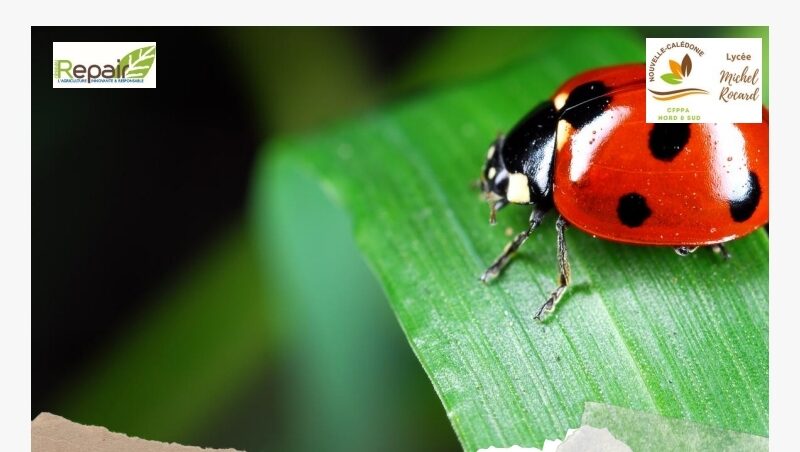 Protection agroécologique des cultures 2