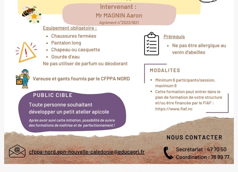 Initiation apiculture