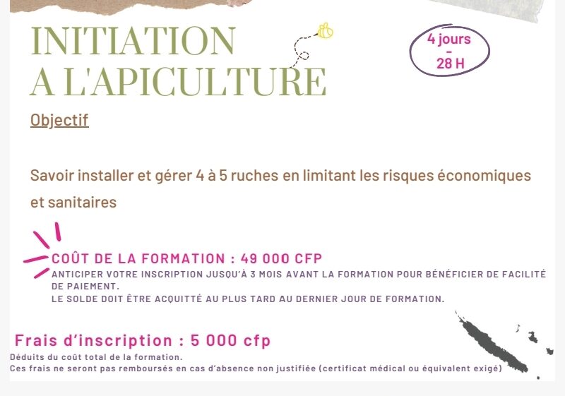 Initiation apiculture