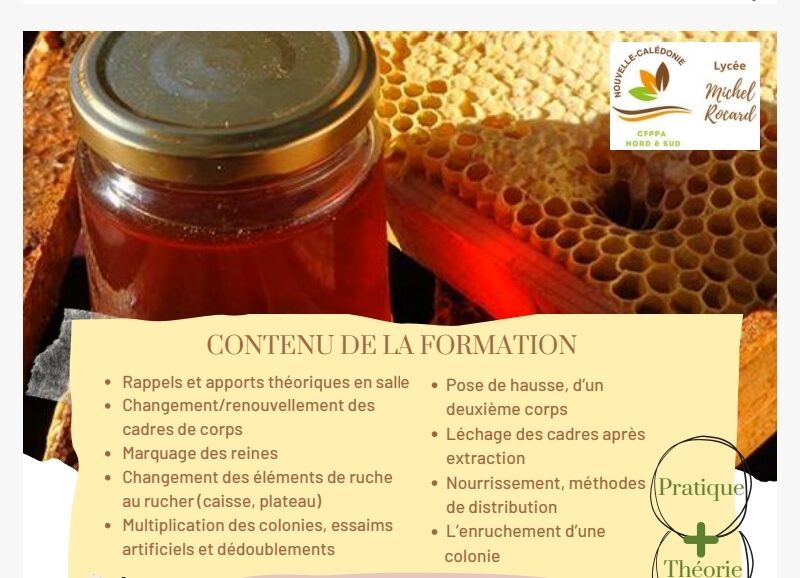 Maitrise des techniques apicoles