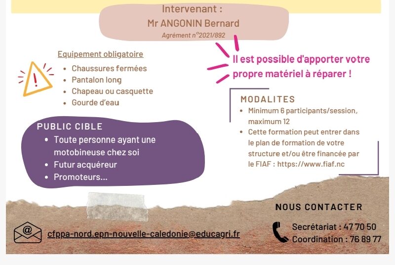 Entretien motobineuse