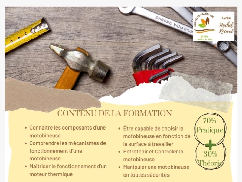 Entretien motobineuse