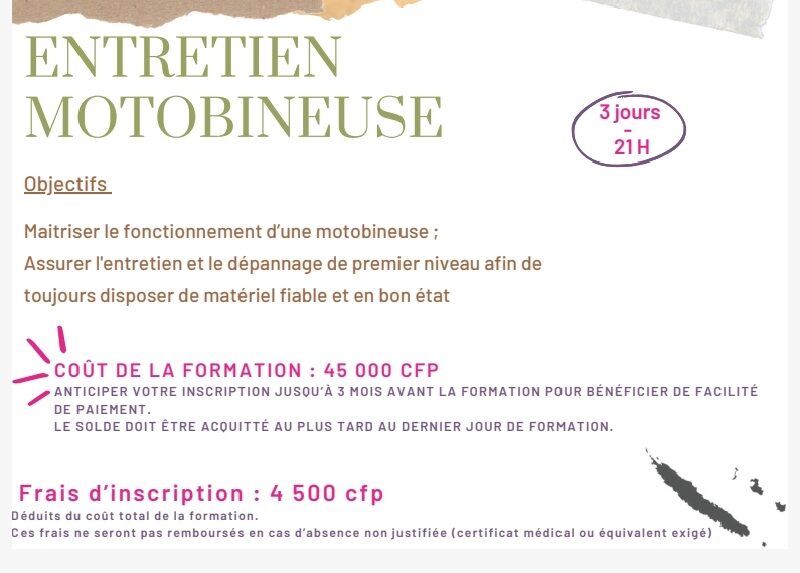 Entretien motobineuse