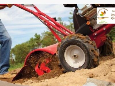 Entretien motobineuse