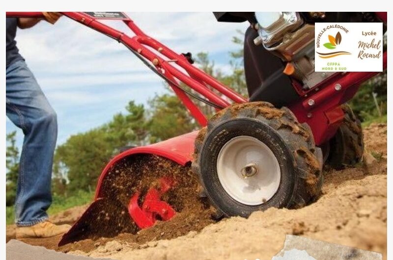 Entretien motobineuse