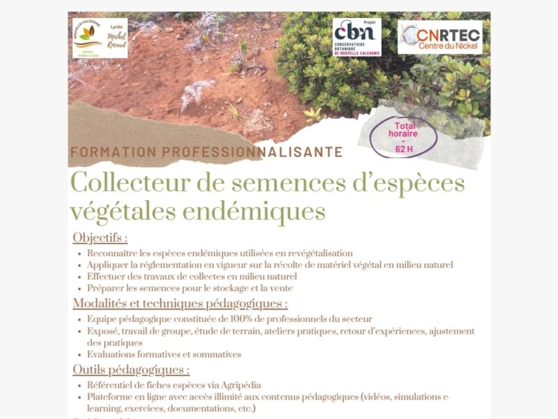 Collecteur de semences d'espèces endémiques