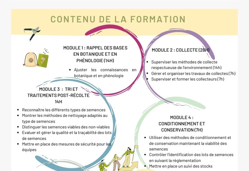 Chef collecteur des semences d'espèces végétales endémiques