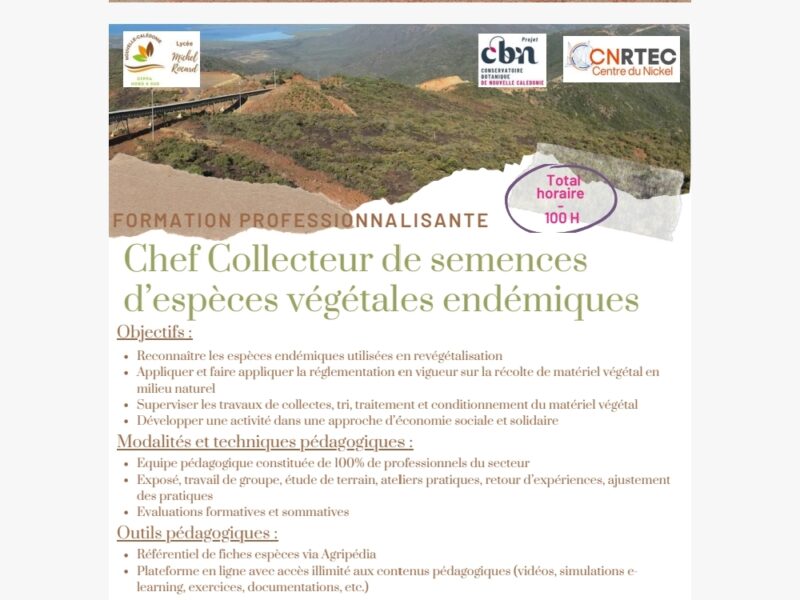 Chef collecteur des semences d'espèces végétales endémiques