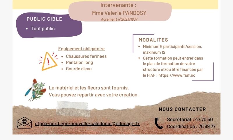 Composition florale et bouquet