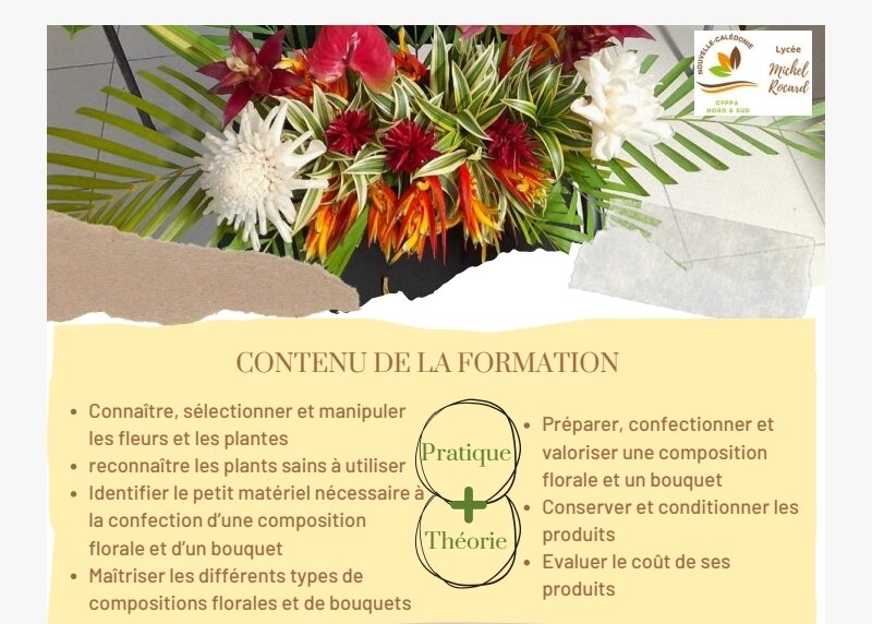 Composition florale et bouquet