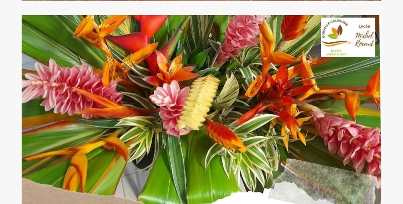 Composition florale et bouquet