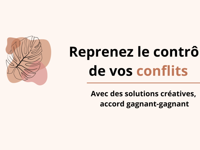 Jurista et mediatio conseil