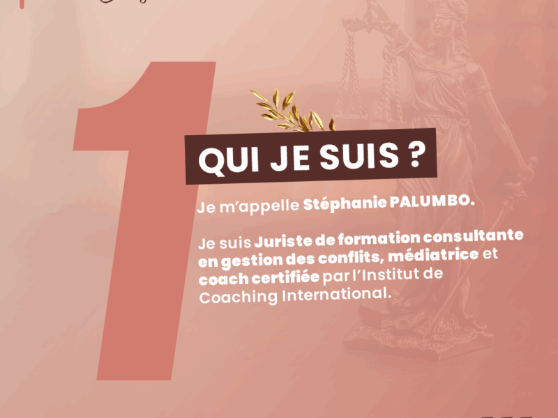 Jurista et mediatio conseil