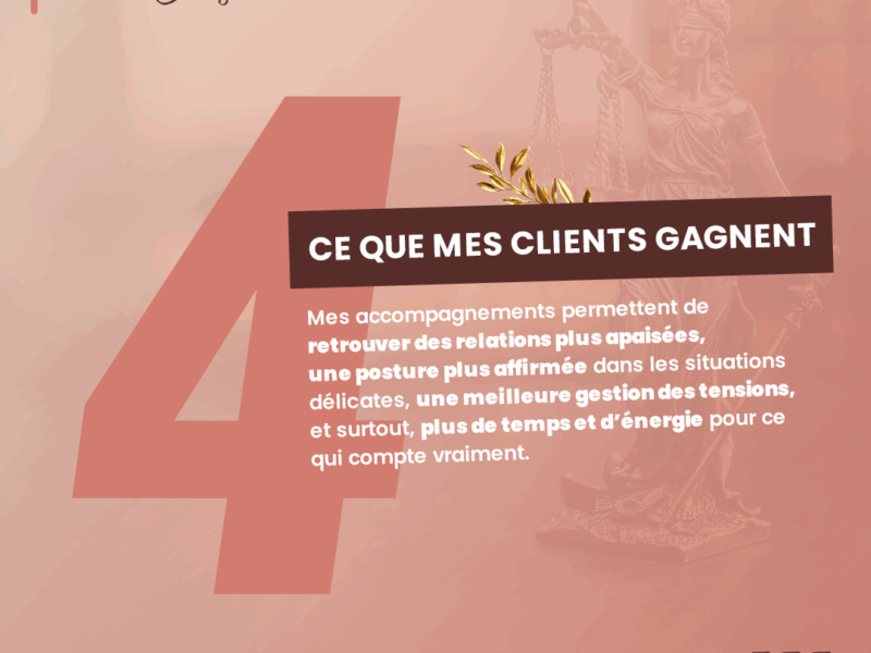 Jurista et mediatio conseil