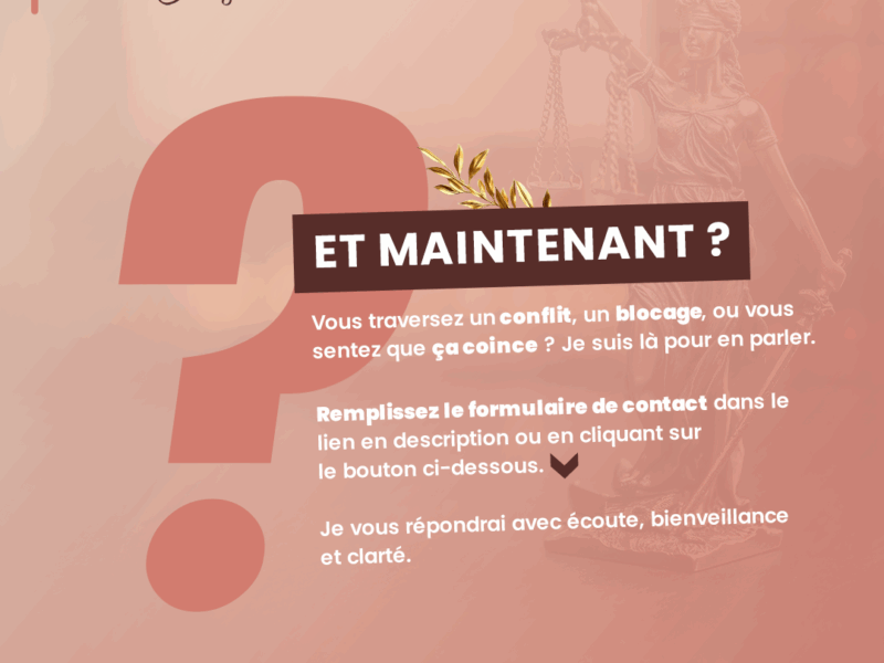 Jurista et mediatio conseil