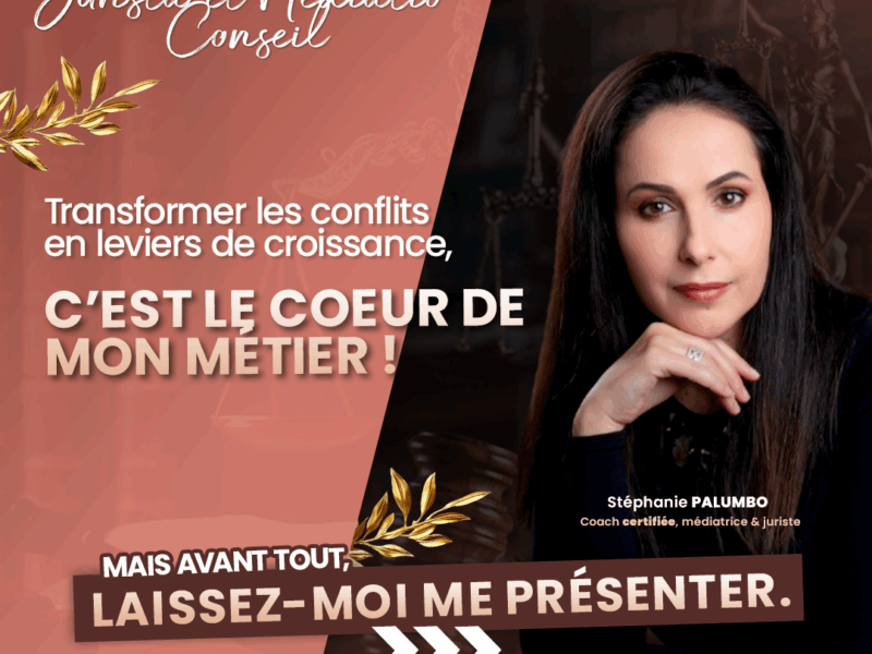 Jurista et mediatio conseil